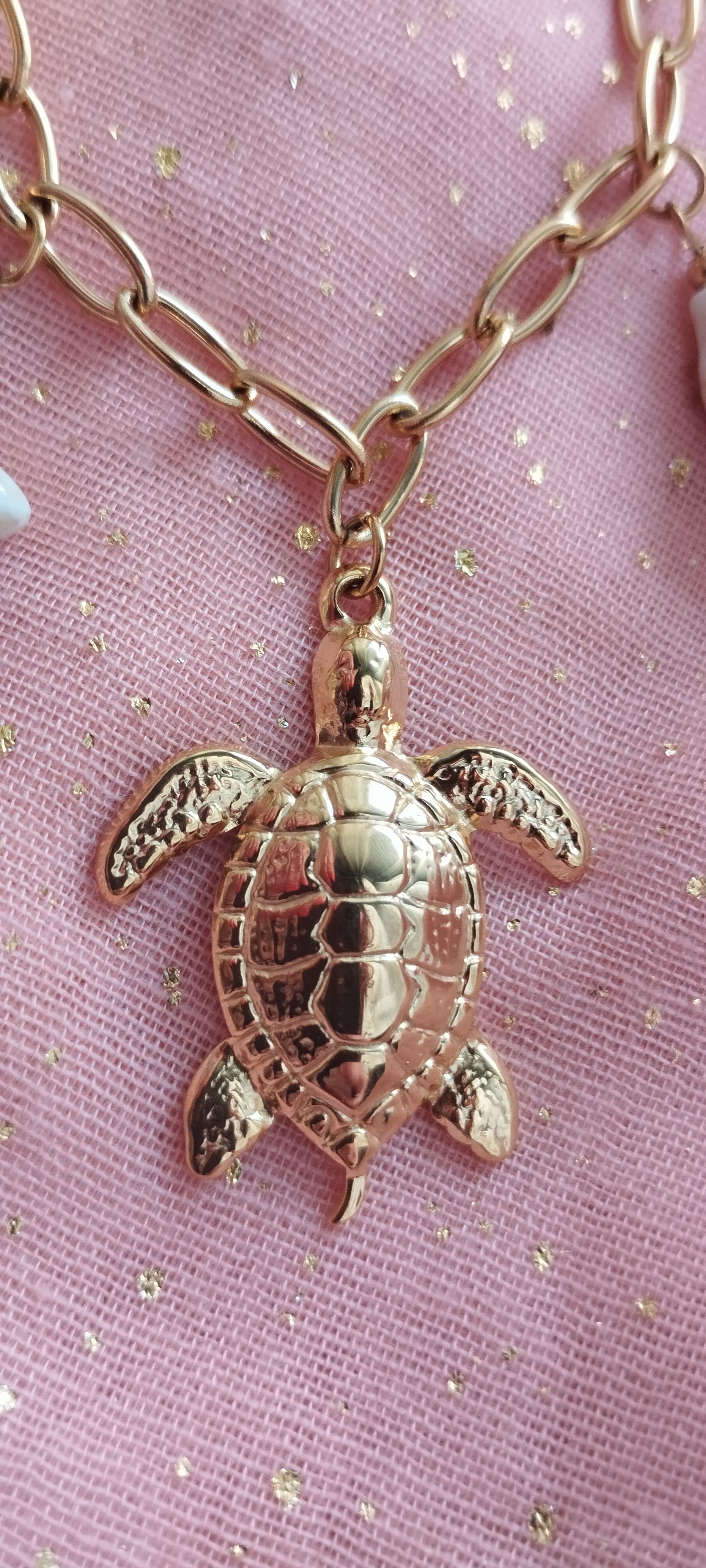 Collar Tortuga Guardiana del Óceano